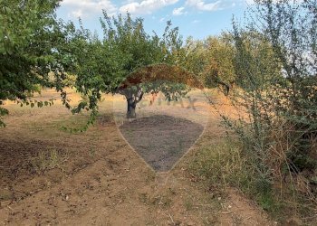 Giardino - Villa contrada costabaira
 
18, Caltagirone - foto 41