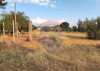 Giardino - Villa contrada costabaira
 
18, Caltagirone - foto 44