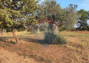 Giardino - Villa contrada costabaira
 
18, Caltagirone - foto 45