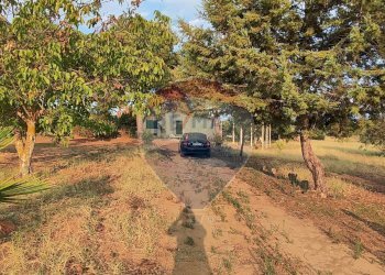 Giardino - Villa contrada costabaira
 
18, Caltagirone - foto 47