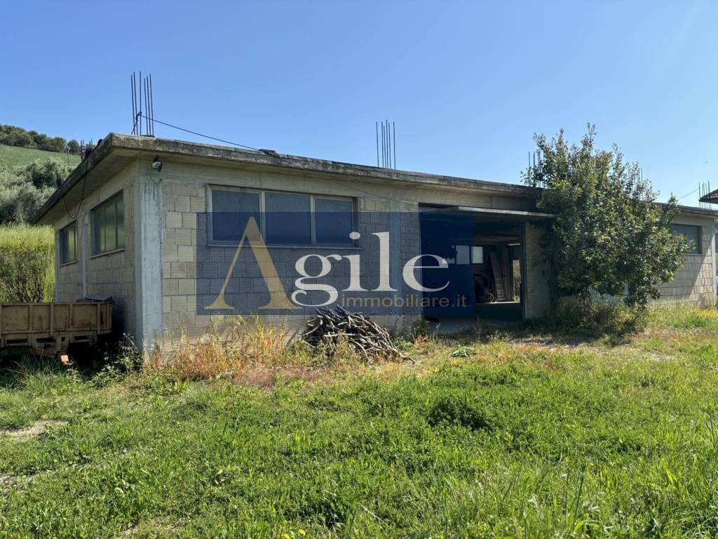 Foto 2 - Terreno agricolo CONTRADA ALBULA, San Benedetto del Tronto - foto 2