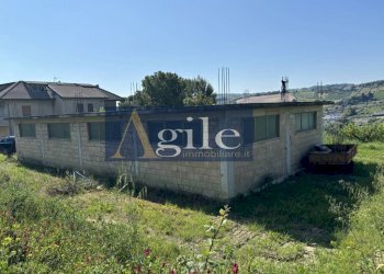 Foto 4 - Terreno agricolo CONTRADA ALBULA, San Benedetto del Tronto - foto 4