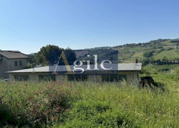 Foto 5 - Terreno agricolo CONTRADA ALBULA, San Benedetto del Tronto - foto 5