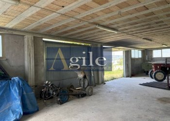 Foto 6 - Terreno agricolo CONTRADA ALBULA, San Benedetto del Tronto - foto 6