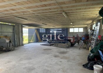 Foto 7 - Terreno agricolo CONTRADA ALBULA, San Benedetto del Tronto - foto 7