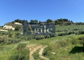 Foto 8 - Terreno agricolo CONTRADA ALBULA, San Benedetto del Tronto - foto 8