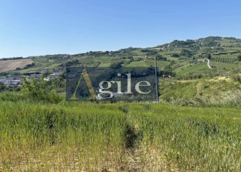 Foto 9 - Terreno agricolo CONTRADA ALBULA, San Benedetto del Tronto - foto 9