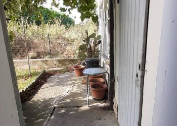 Foto 15 - Casa indipendente via del glicine
 
16, Vigarano Mainarda - foto 15