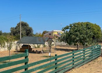 Foto 37 - Villa S.da Vicinale Badde Fustiggiu, Sorso SS
 
22, Sorso - foto 37