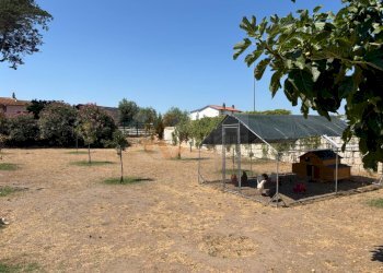 Foto 38 - Villa S.da Vicinale Badde Fustiggiu, Sorso SS
 
22, Sorso - foto 38