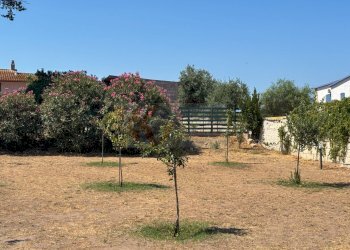 Foto 39 - Villa S.da Vicinale Badde Fustiggiu, Sorso SS
 
22, Sorso - foto 39