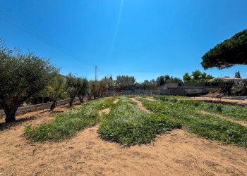 Foto 41 - Villa S.da Vicinale Badde Fustiggiu, Sorso SS
 
22, Sorso - foto 41