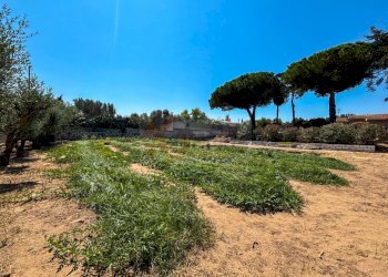 Foto 42 - Villa S.da Vicinale Badde Fustiggiu, Sorso SS
 
22, Sorso - foto 42