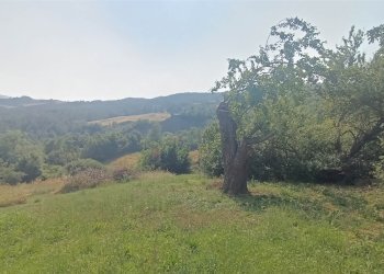 Rustico Via Sparvo 14, Castiglione dei Pepoli - foto 25