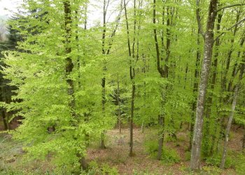 Villa Via delle Cottede 413, Castiglione dei Pepoli - foto 24