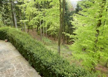 Villa Via delle Cottede 413, Castiglione dei Pepoli - foto 25