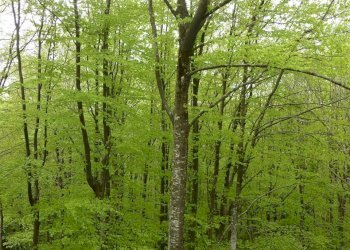 Villa Via delle Cottede 413, Castiglione dei Pepoli - foto 26