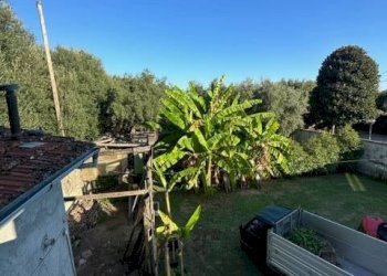 Foto 7 - Rustico Via Catena, Seravezza - foto 7