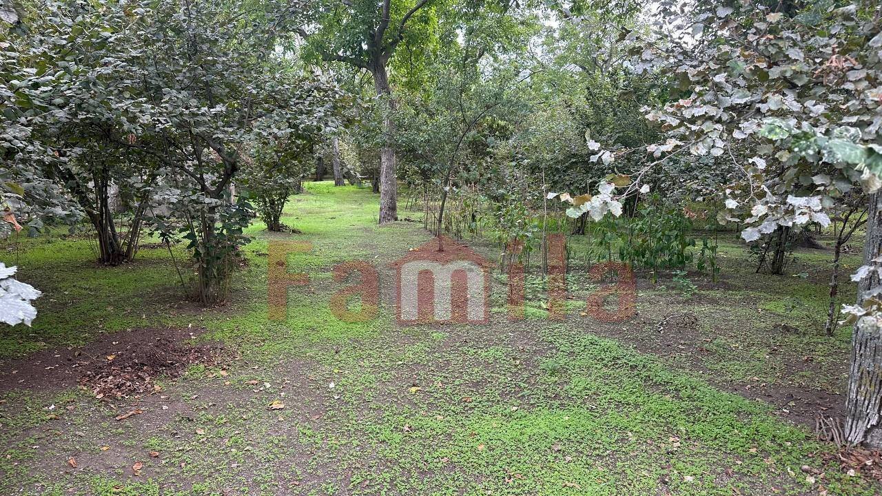 Foto 2 - Terreno edificabile Sperone - foto 2