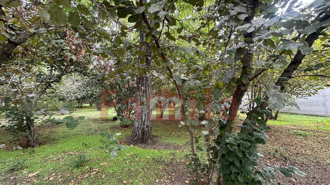 Foto 3 - Terreno edificabile Sperone - foto 3