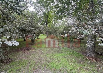 Foto 1 - Terreno edificabile Sperone - foto 1