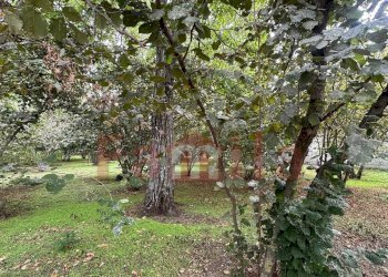 Foto 3 - Terreno edificabile Sperone - foto 3