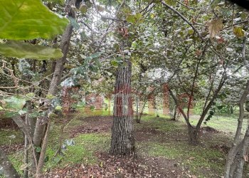 Foto 4 - Terreno edificabile Sperone - foto 4