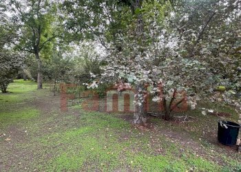 Foto 5 - Terreno edificabile Sperone - foto 5