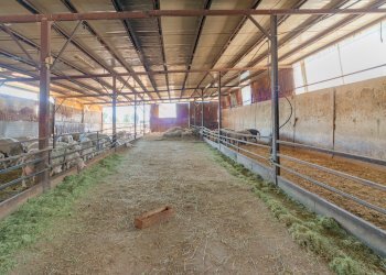 Casale Via Centallo, Dronero - foto 31