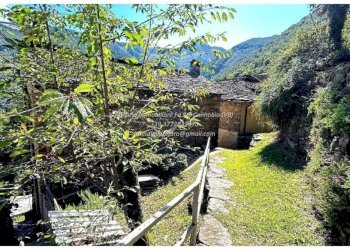 Terreno - Rustic Località Camberto, 6, Valle Cannobina - photo 3