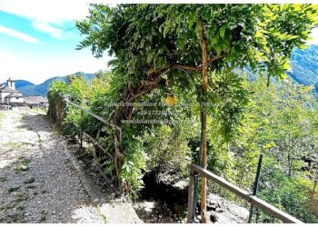 Terreno - Rustico Località Camberto, 6, Valle Cannobina - foto 7