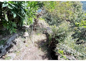 Terreno - Rustico Località Camberto, 6, Valle Cannobina - foto 9