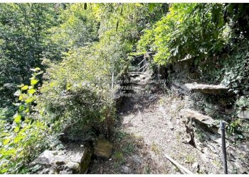 Terreno - Rustic Località Camberto, 6, Valle Cannobina - photo 10