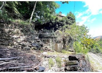 Terreno - Rustico Località Camberto, 6, Valle Cannobina - foto 12