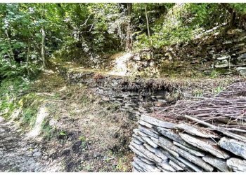 Terreno - Rustico Località Camberto, 6, Valle Cannobina - foto 14