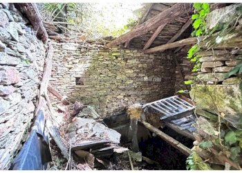 Terreno - Rustic Località Camberto, 6, Valle Cannobina - photo 15