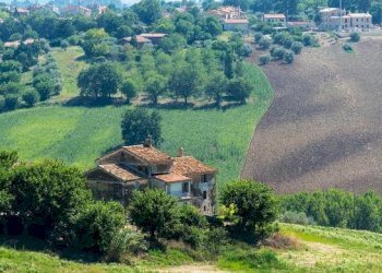 Quadrilocale Via Suor Balducci 26, Ostra - foto 49