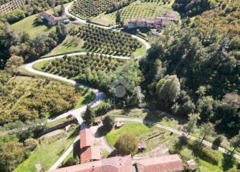 Rustic Via Berria, Benevello - photo 28