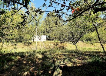 Foto 72 - Villa via vecchia di plodio
 
10, Carcare - foto 72