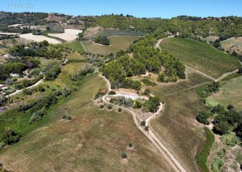 Foto 1 - Terreno agricolo contrada san salvatore
 
snc, Ripatransone - foto 1