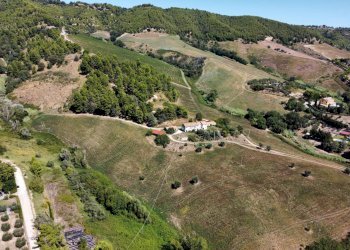 Foto 7 - Terreno agricolo contrada san salvatore
 
snc, Ripatransone - foto 7