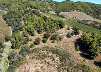 Foto 10 - Terreno agricolo contrada san salvatore
 
snc, Ripatransone - foto 10