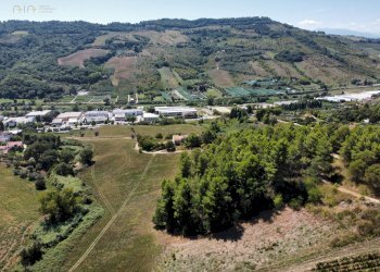 Foto 13 - Terreno agricolo contrada san salvatore
 
snc, Ripatransone - foto 13