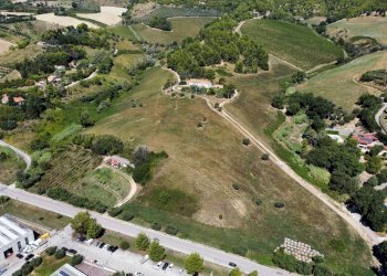 Foto 14 - Terreno agricolo contrada san salvatore
 
snc, Ripatransone - foto 14