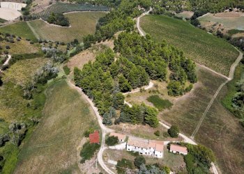 Foto 16 - Terreno agricolo contrada san salvatore
 
snc, Ripatransone - foto 16