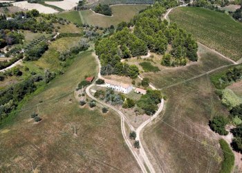 Foto 17 - Terreno agricolo contrada san salvatore
 
snc, Ripatransone - foto 17