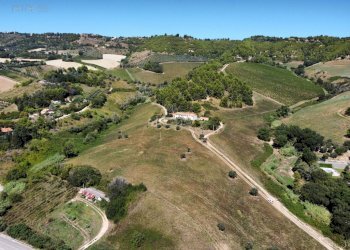 Foto 18 - Terreno agricolo contrada san salvatore
 
snc, Ripatransone - foto 18