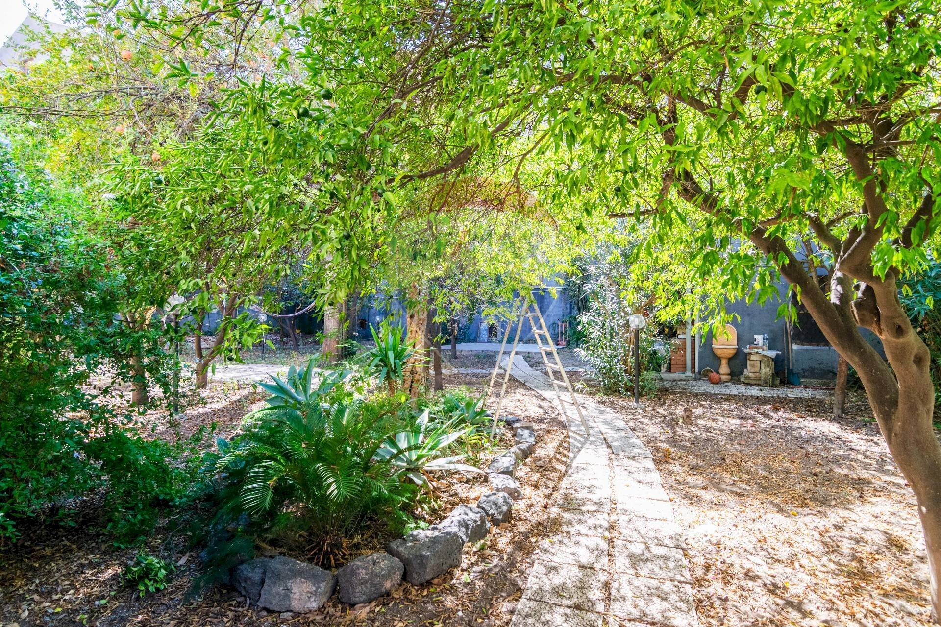 Giardino - Trilocale Via Antonino Di Sangiuliano
 
139, Catania - foto 1