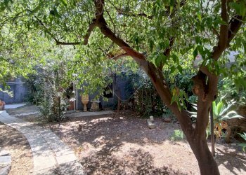 Giardino - Trilocale Via Antonino Di Sangiuliano
 
139, Catania - foto 34