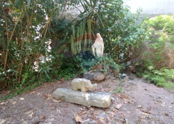 Giardino - Trilocale Via Antonino Di Sangiuliano
 
139, Catania - foto 35